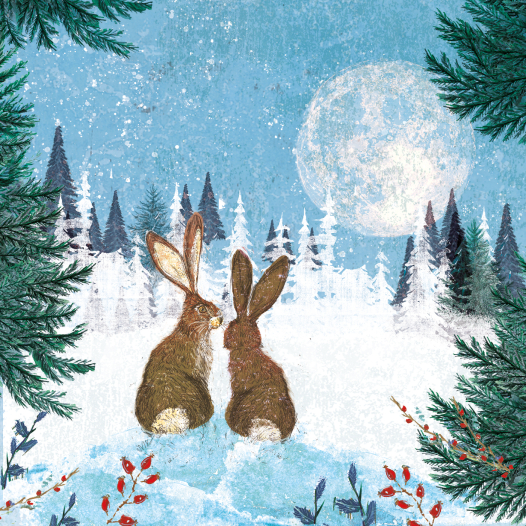 kw. hares looking at moon website